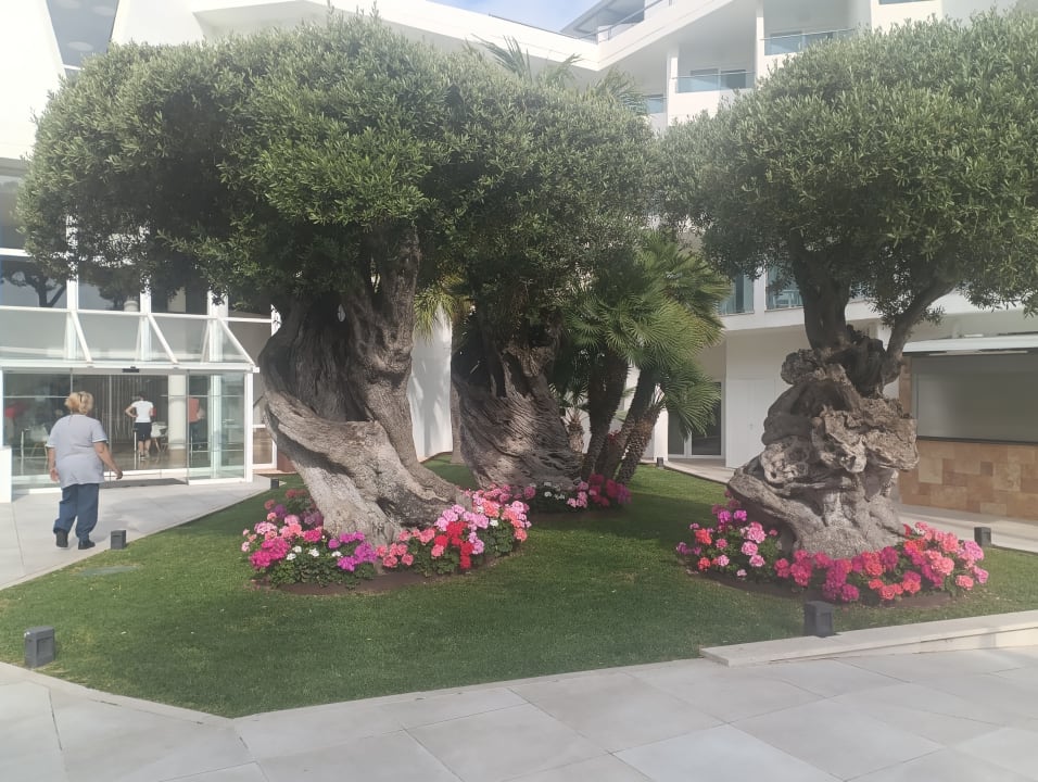 Gartenanlage Iberostar Waves Playa de Muro