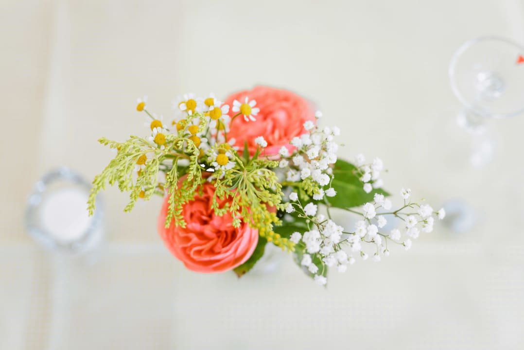 Restaurant Hotel Dachsberger Hof