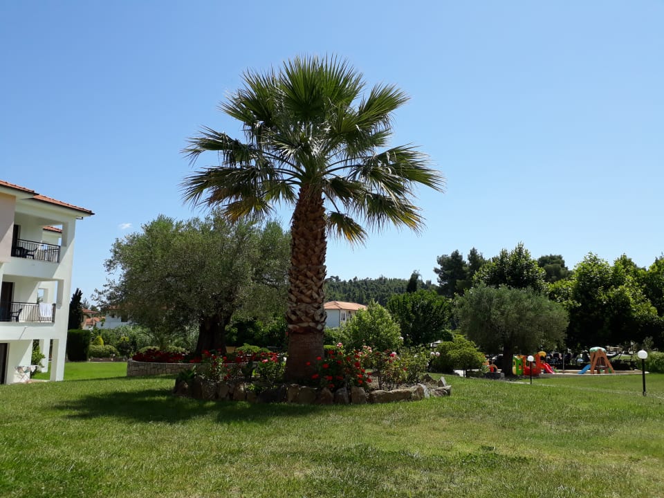 Blick von unserem Zimmer auf einen der Spielplätze Hotel Chrousso Village