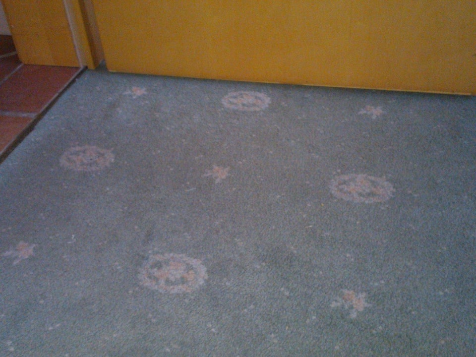Teppich Schlafzimmer Hotel und Residence Johanneshof