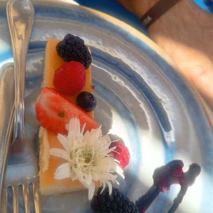 Gastro JAZ Elite Asteria