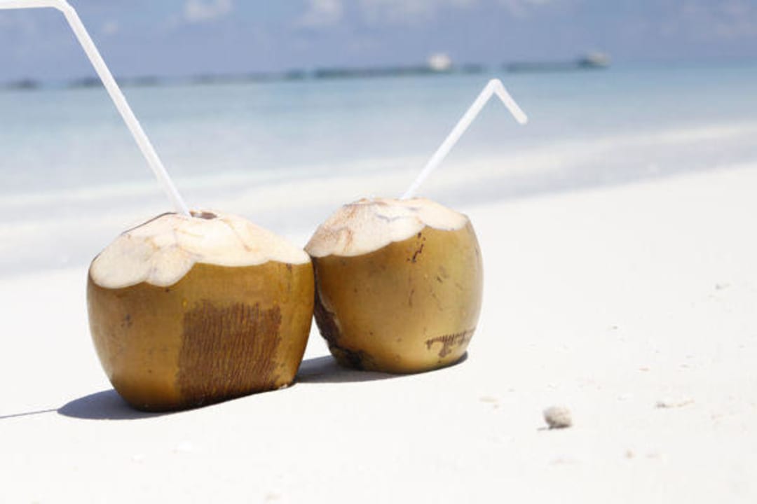 Lecker Kokosnuss Summer Island Maldives