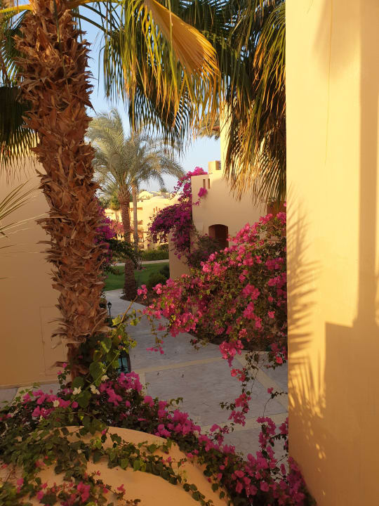 Gartenanlage Steigenberger Coraya Beach - Adults only