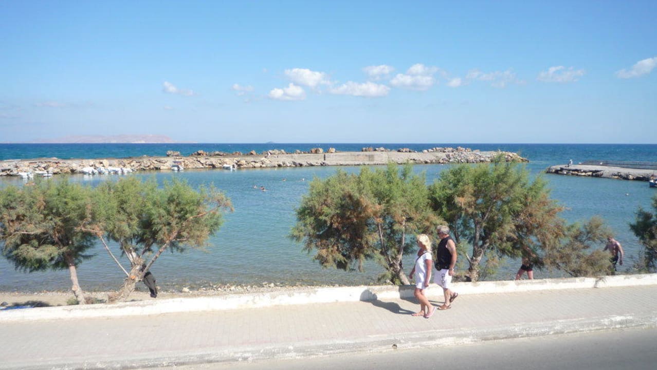 Hotel beach Hotel Aphrodite Beach Club