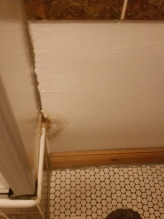 Zimmer Hotel zum Rücking