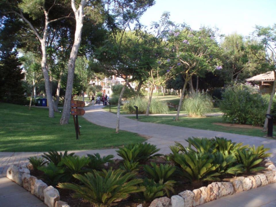 Garten Blau Colònia Sant Jordi