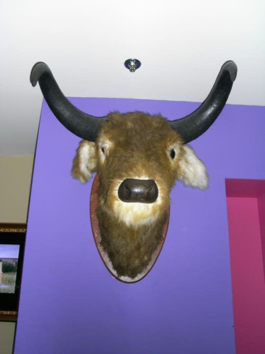 Deko Baxpax Hotel & Hostel Downtown