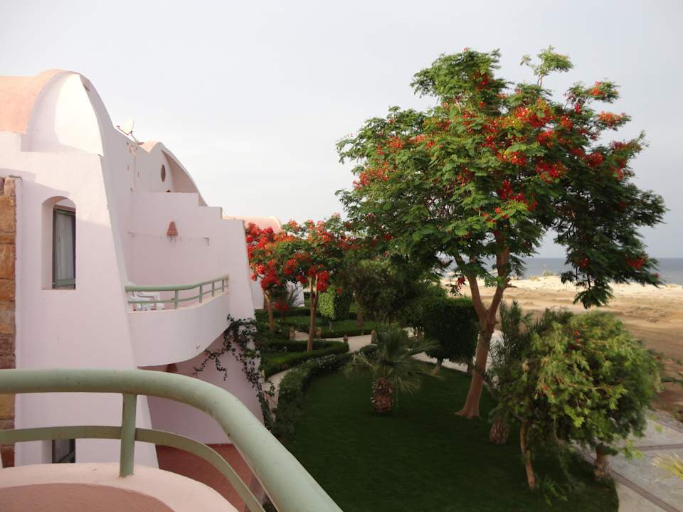 Blick vom Balkon  Shams Alam Beach Resort