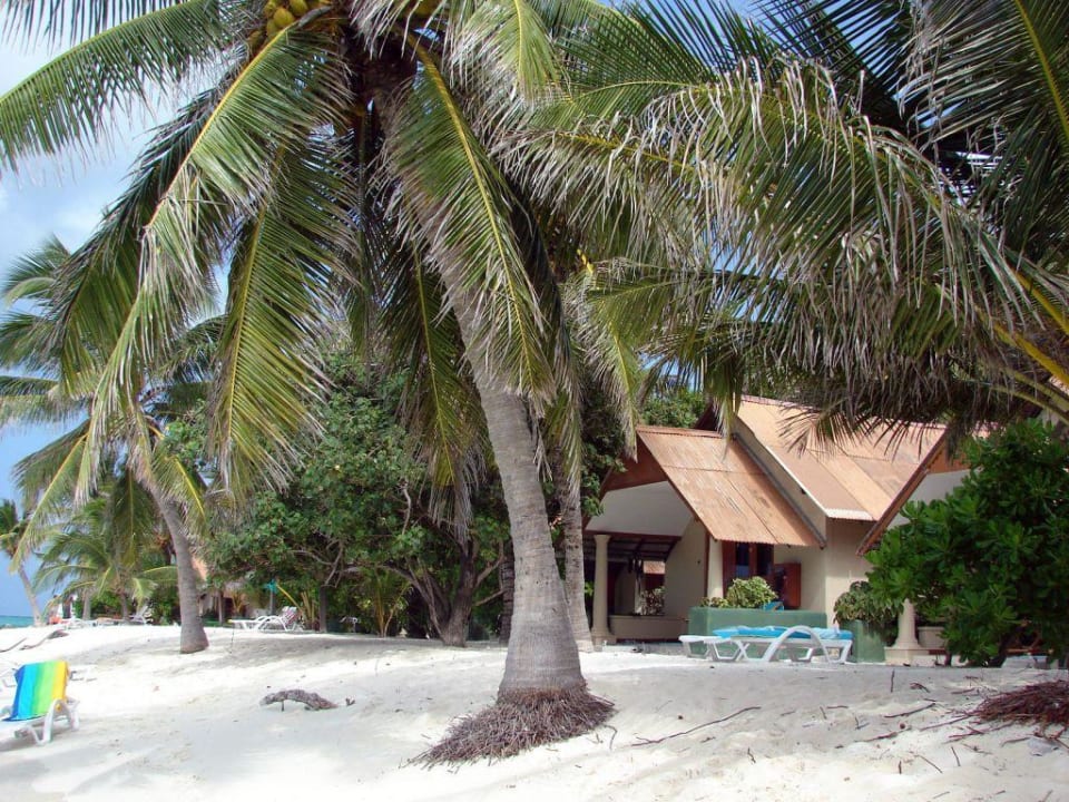 Bungalows an der Westseite Summer Island Maldives