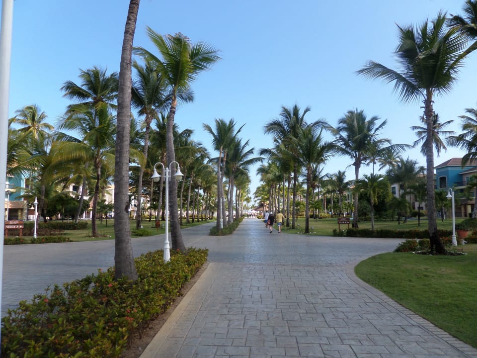 Weg zum Pool Ocean Blue & Sand