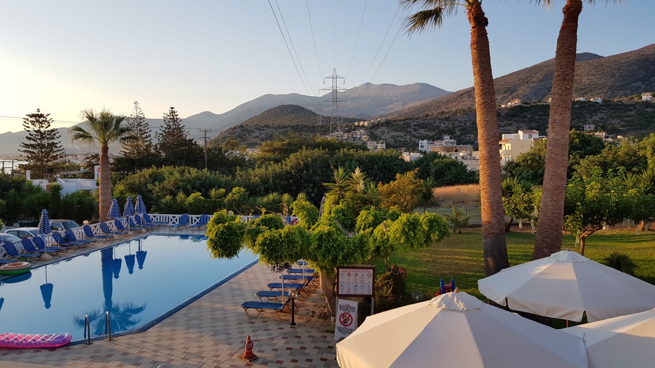 Pool Hotel Paloma Garden