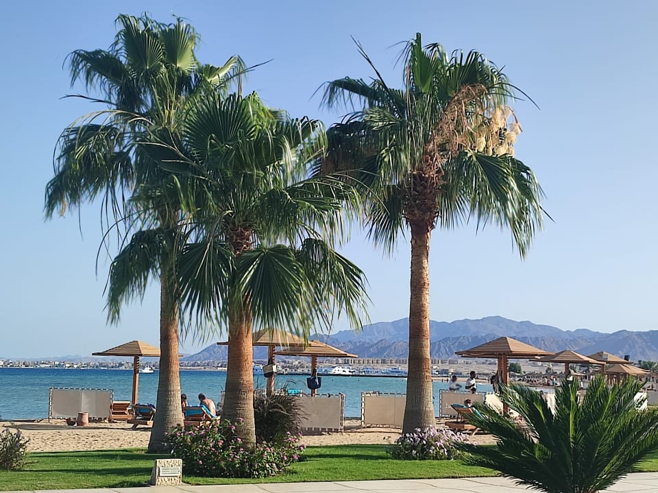 Strand Shams Prestige Abu Soma-Adults Only