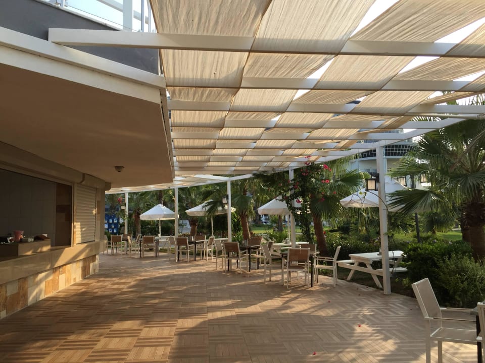 Mittagsbüffet Seaden Sea Planet Resort & Spa