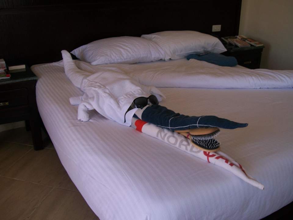 Achtung! Krokodil im Zimmer Pickalbatros Aqua Blu Resort - Sharm El Sheikh