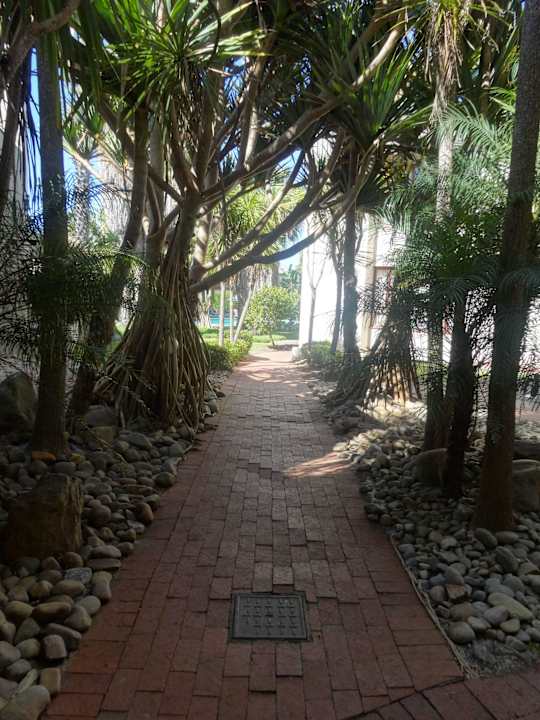 Weg zum Pool The Wilderness Hotel