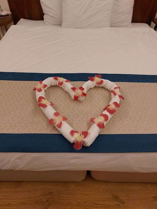 Zimmer Seashell Vega