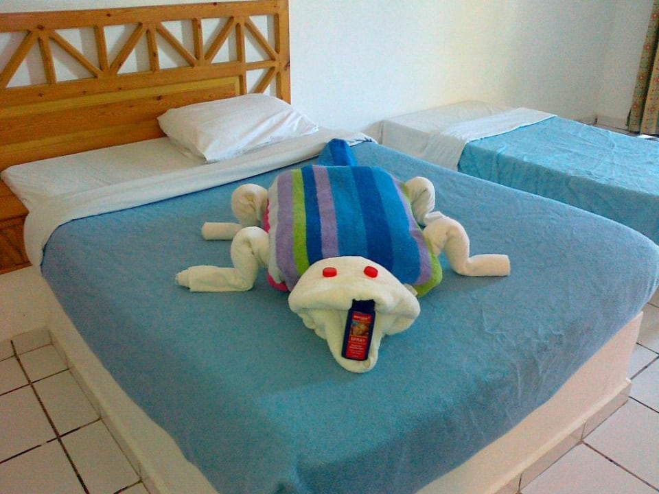 Kreative Zimmerboys Utopia Beach Club