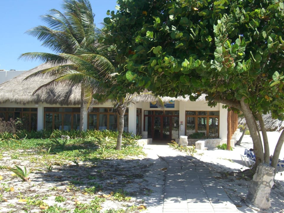 Restaurant Akumal Bay Beach & Wellness Resort