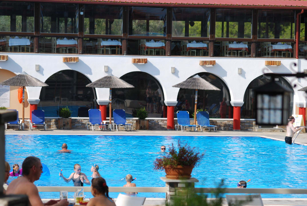 Am Pool Blue Dolphin Resort Hotel