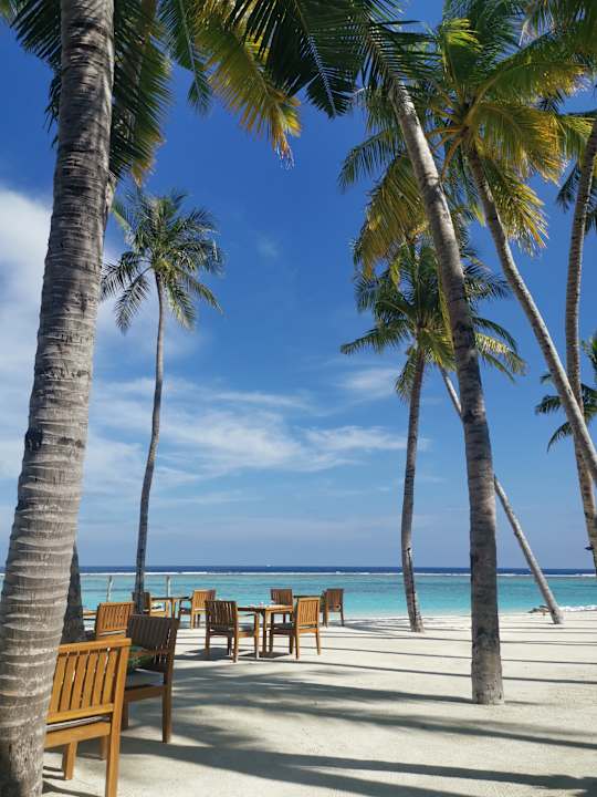 Strand TUI BLUE Olhuveli Romance