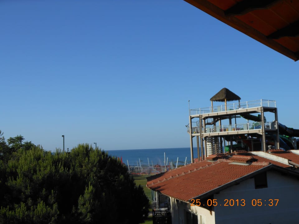 Vom Balkon Papillon Belvil