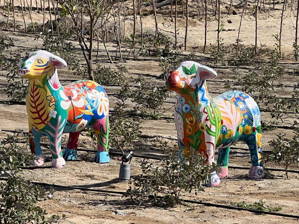 Gartenanlage Pickalbatros Villaggio Resort - Portofino