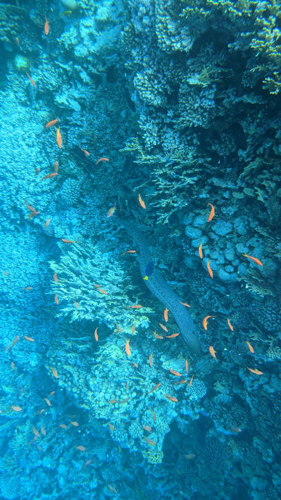 Strand Casa Mare Resort