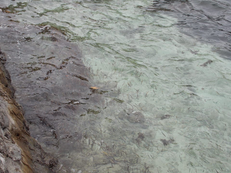 Verschmutztes Meer Adaaran Select Hudhuran Fushi - Premium All Inclusive