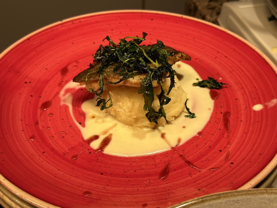 Gastro Aldiana Club Ampflwang