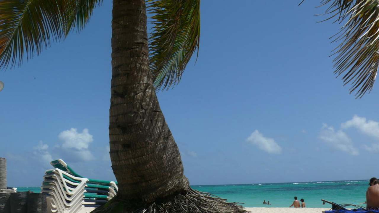 Hotel The Royal Suites Turquesa by Palladium TRS Turquesa Hotel - Adults only