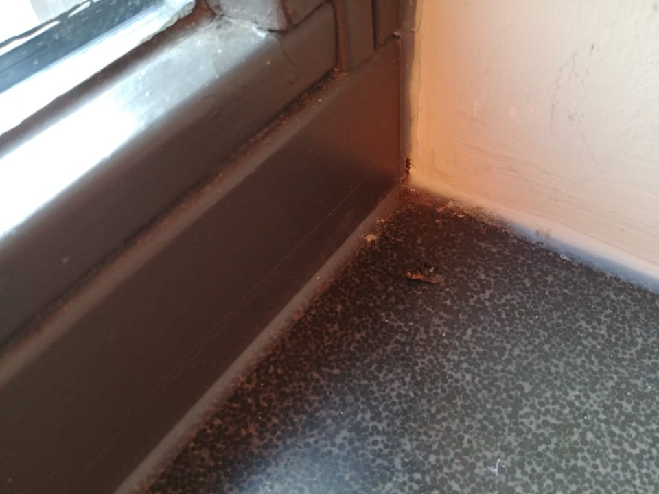 Zimmer Ferienpark Efteling Bosrijk