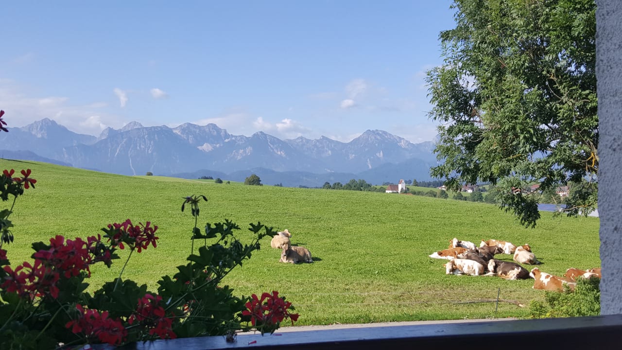 Ausblick Ferienwohnungen Salenberghof
