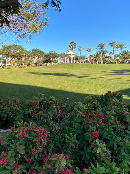 Gartenanlage Steigenberger ALDAU Beach Hotel