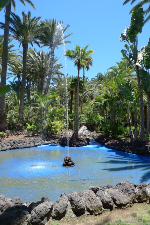 Außenansicht Hotel Riu Palace Oasis