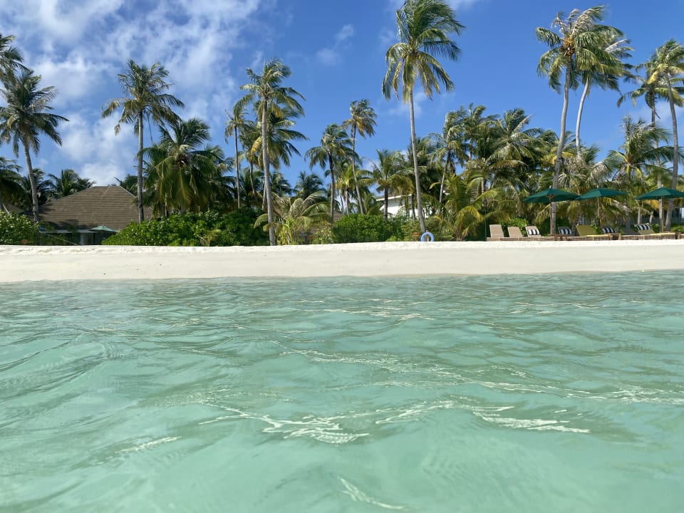 Strand SAii Lagoon Maldives, Curio Collection by Hilton