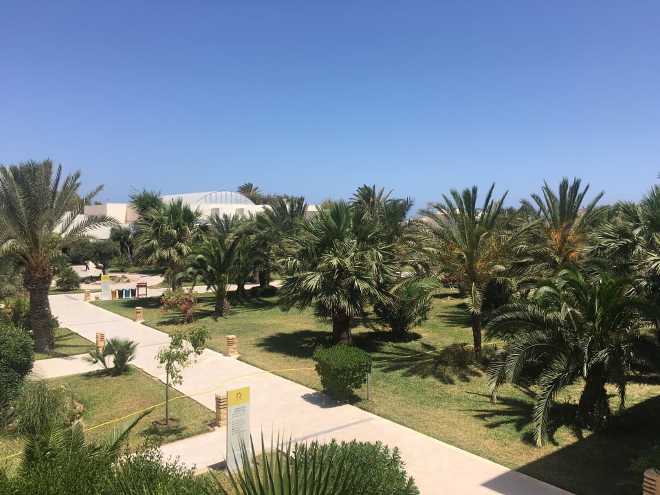 Ausblick TUI MAGIC LIFE Penelope Beach