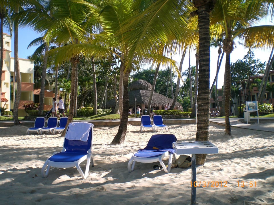 Ruhiger Strandabschnitt Hotel Viva Dominicus Beach by Wyndham - All Inclusive Resort
