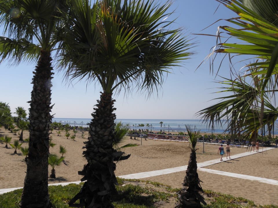 Strand Club Grand Aqua