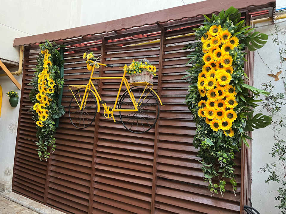 Gartenanlage Hane Family Resort