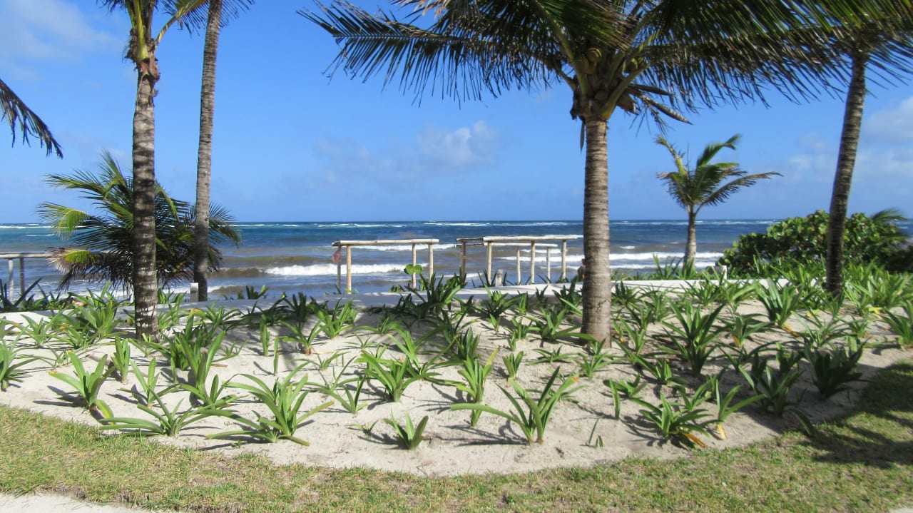 Gartenanlage Akumal Bay Beach & Wellness Resort