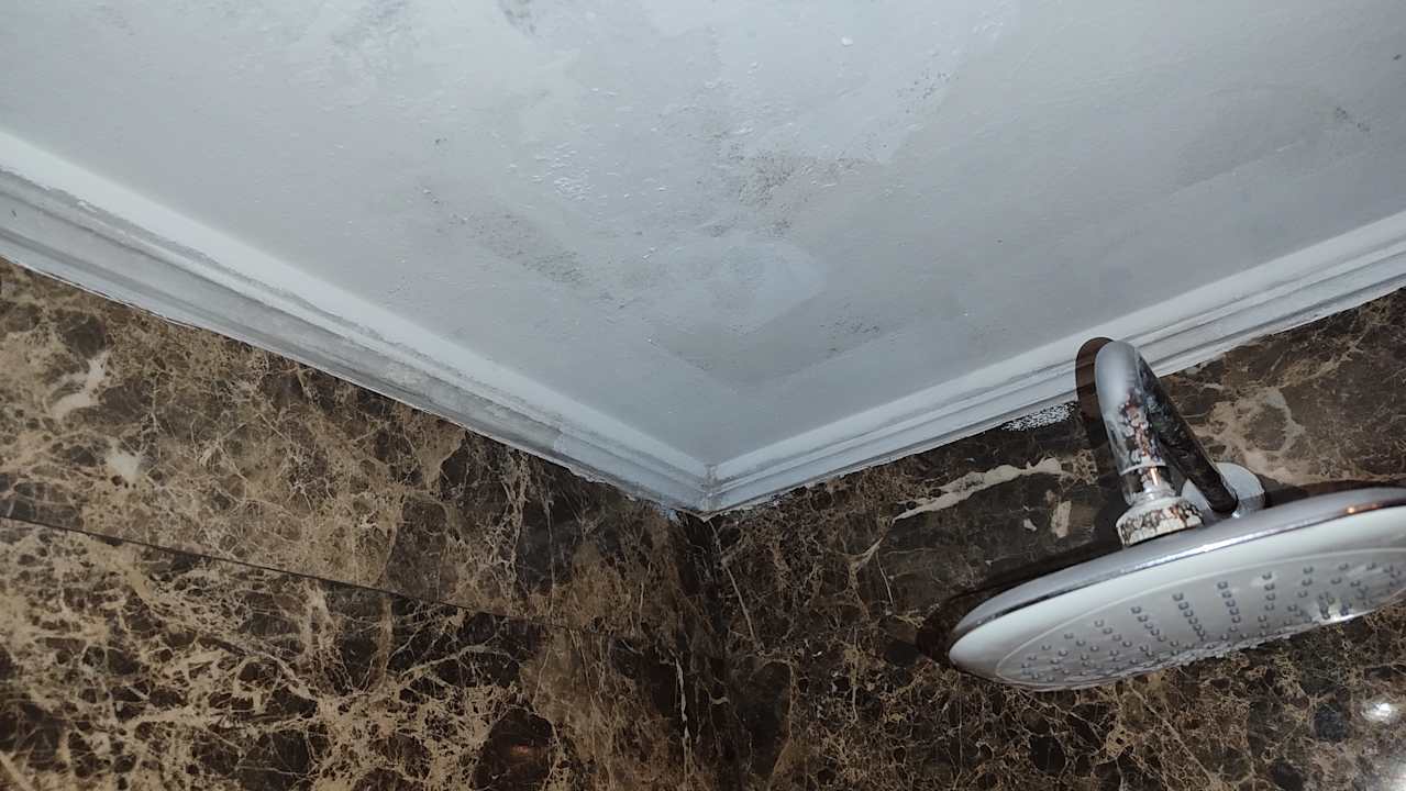 Zimmer Club Side Coast