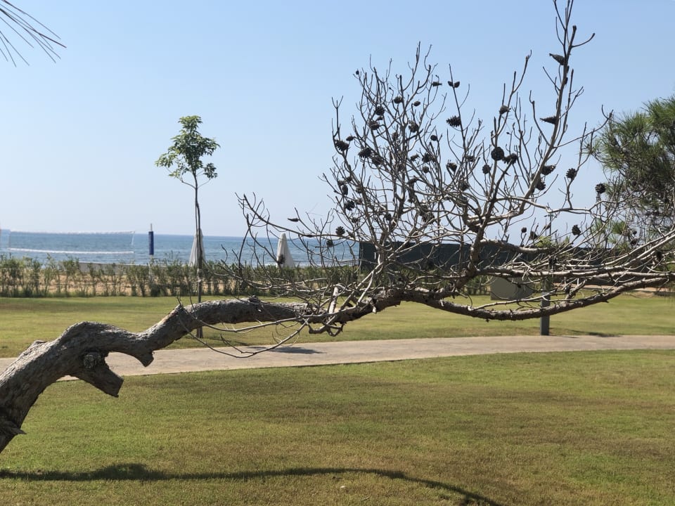 Ausblick Concorde Luxury Resort