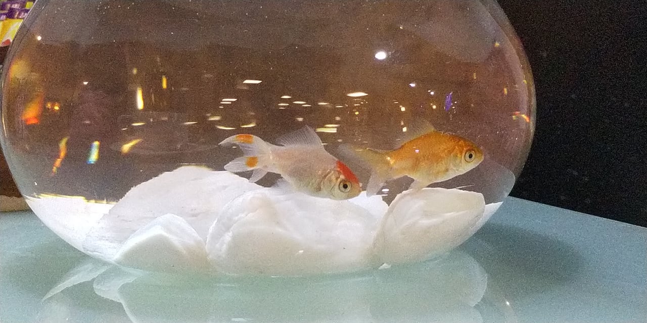 Sonstiges Labranda Alantur Resort