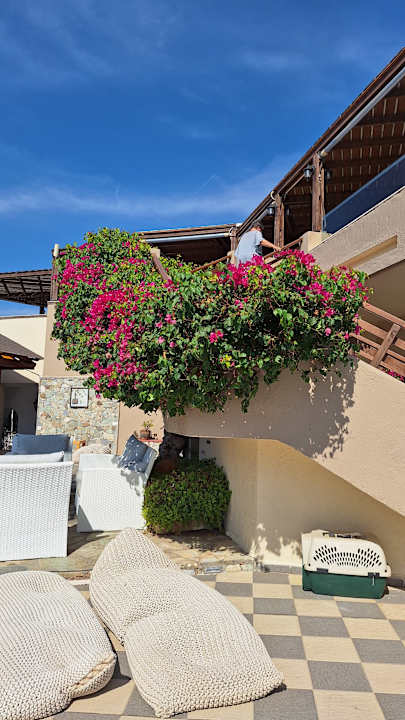 Gastro Gaia Garden Hotel