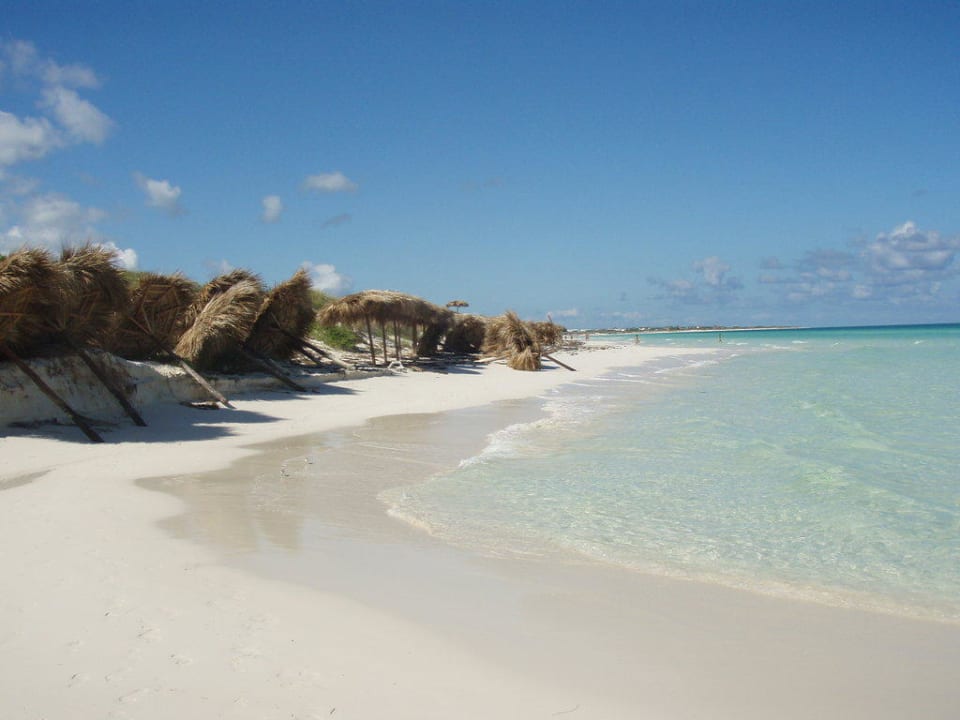 Der Strand - leider etwas verwahrlost Melia Las Dunas