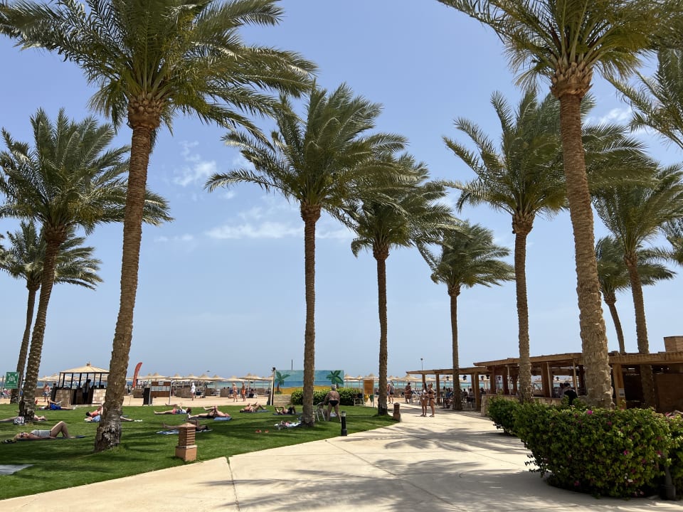 Gartenanlage Stella Garden Resort & Spa, Makadi Bay