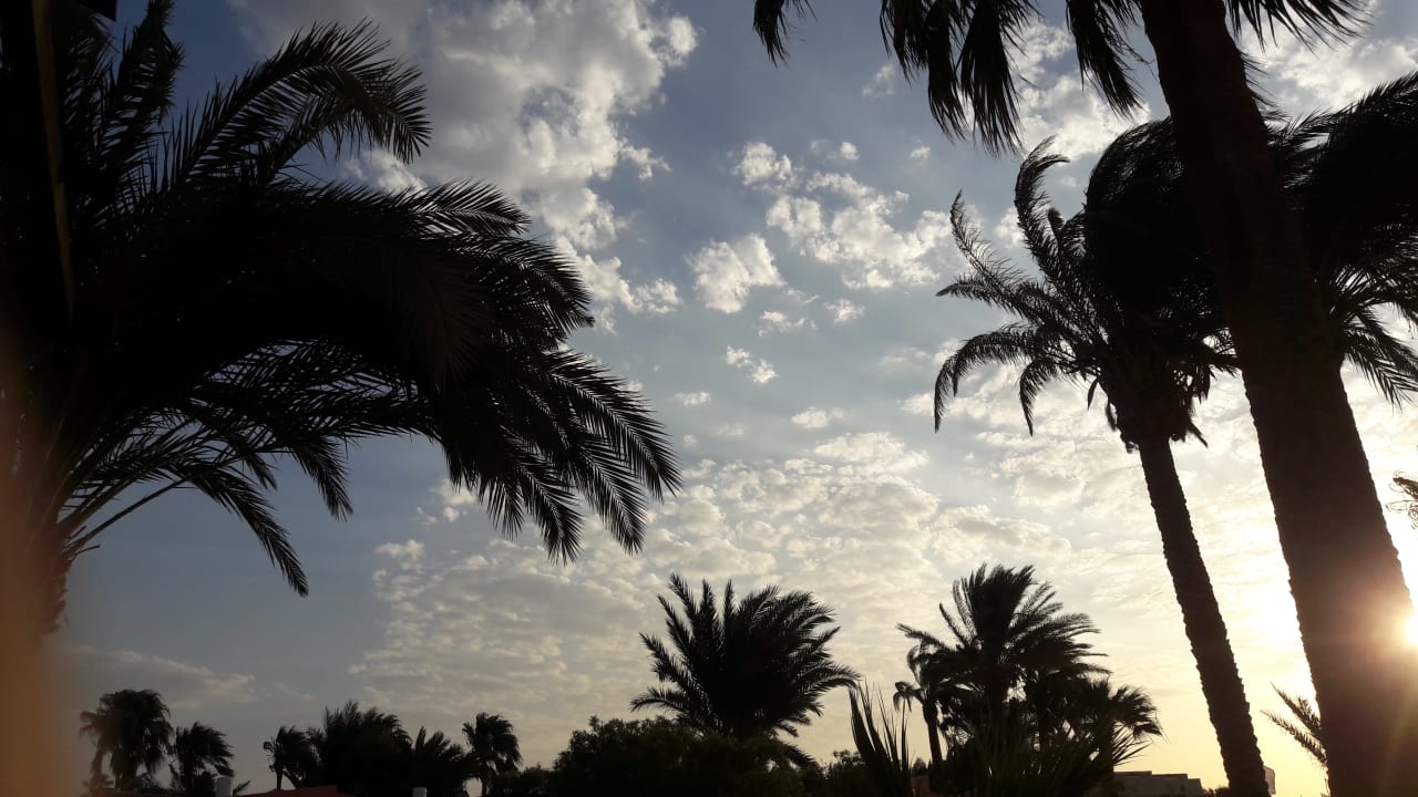 Außenansicht Eagles Paradise Abu Soma