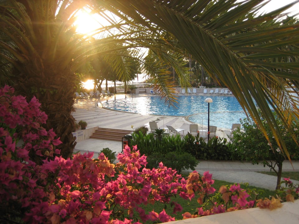 Blick auf Pool Top Hotel