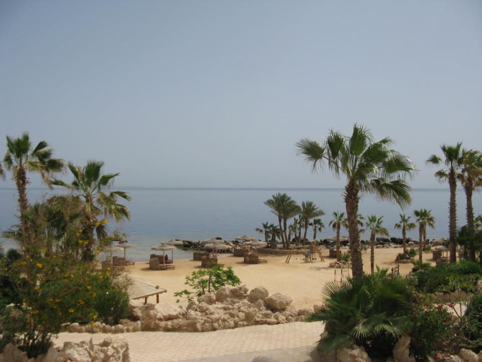 Blick vom Pool Pickalbatros Citadel Resort