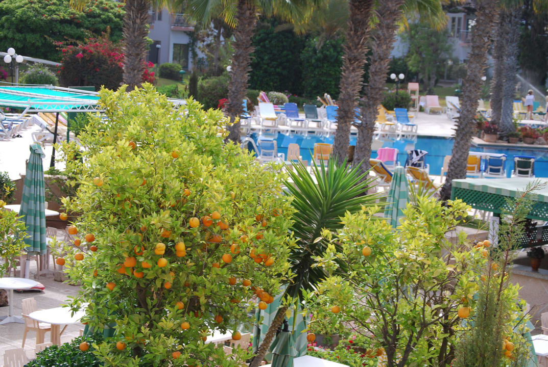 Blick über das Buffet Oasis Agadir Beach Club Hotel